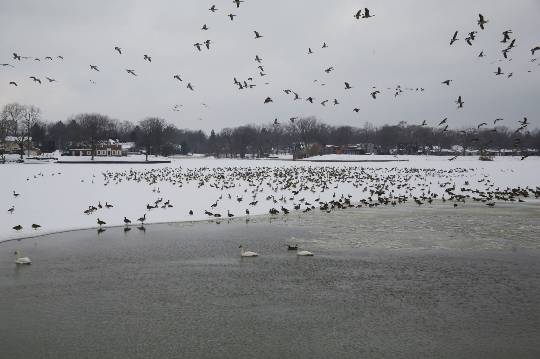 Winter weather